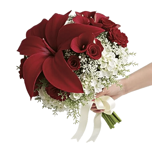 Elegant Calla Lilies