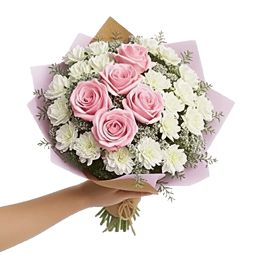 Pastel Pink Roses