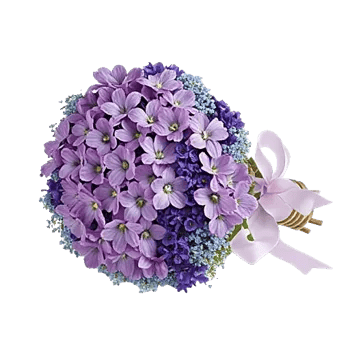 Blossom Petal Serenity