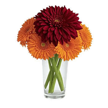 Crimson Blossom Harmony