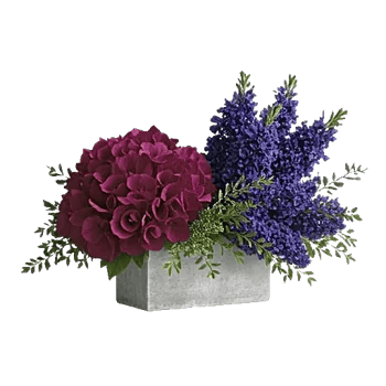 Sapphire Bloom Whisper