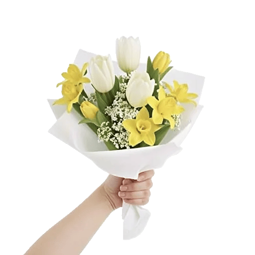 Blossom Harmony Display