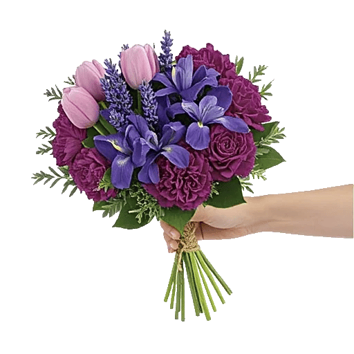 Velvet Tulip Display