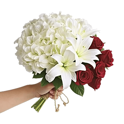 Serene Petal Harmony