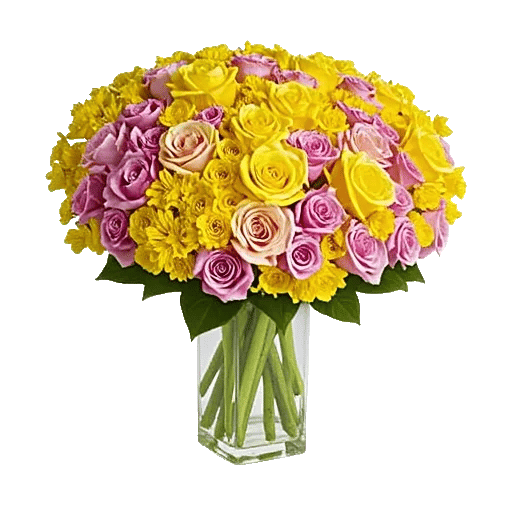 Ivory Blossom Radiance