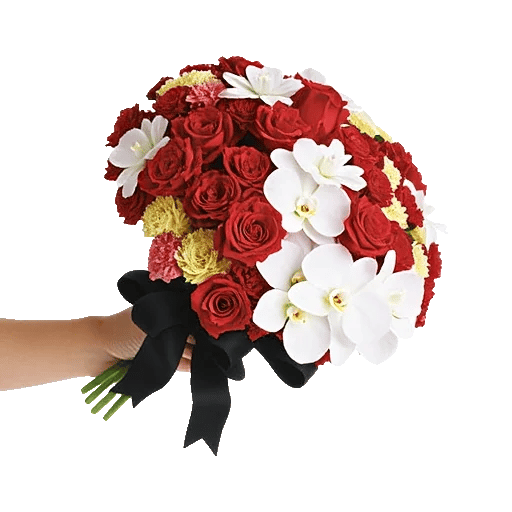 Modern White Orchids