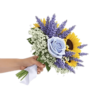 Blossom Petal Serenity