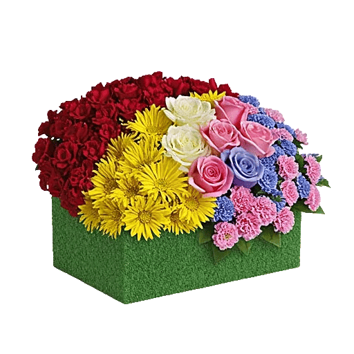 Delicate Petal Cascade