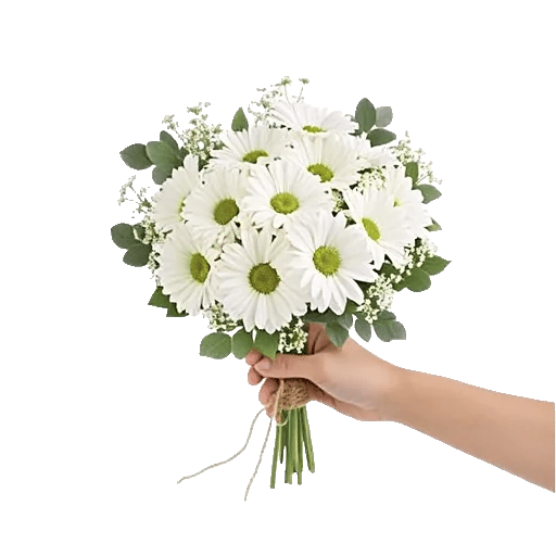 Ivory Garden Grace