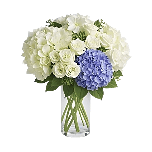 Azure Sky Blooms