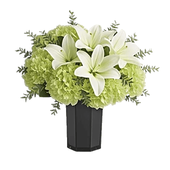 Ivory Blossom Radiance