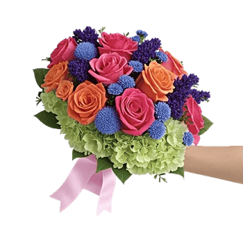 Pastel Pink Roses