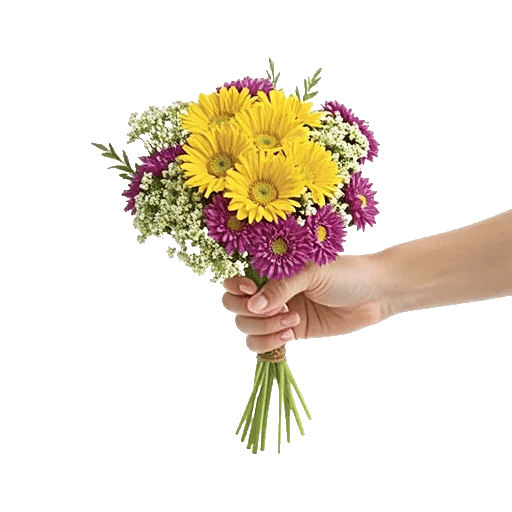 Enchanting Daisy Garden