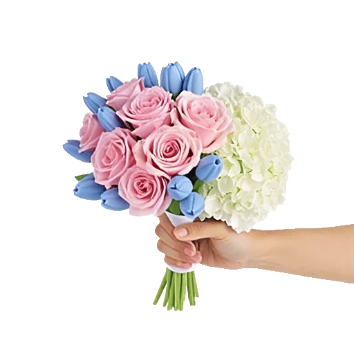 Pastel Pink Roses