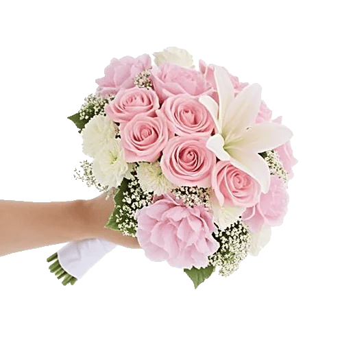 Pastel Pink Roses