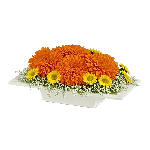Vibrant Orange Delight