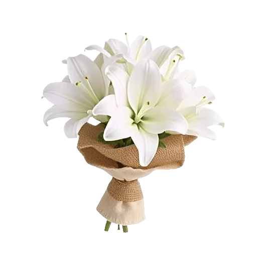 Graceful Lily Display