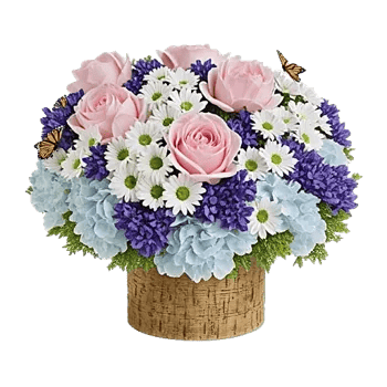 Petal Radiance Bliss