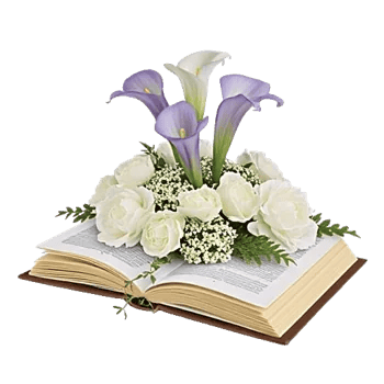 Elegant Calla Lilies