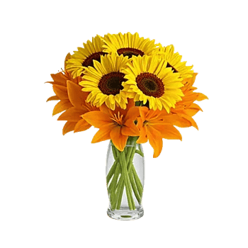 Golden Bloom Radiance