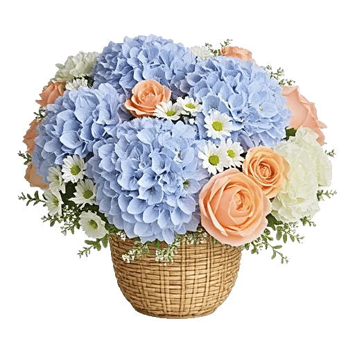 Serene Petal Harmony