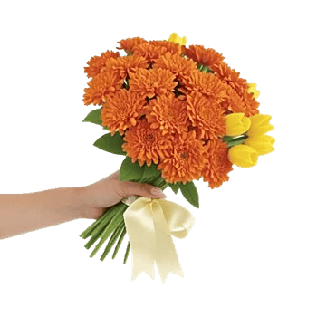 Vibrant Orange Delight