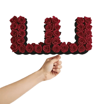 Crimson Rose Elegance
