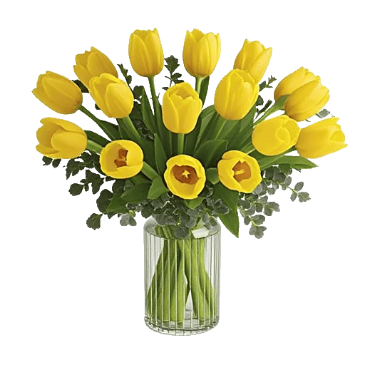 Velvet Tulip Display