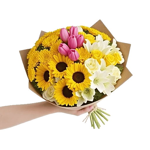 Blossom Harmony Display