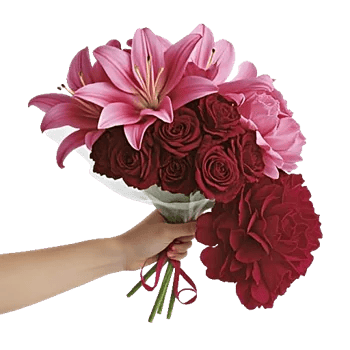 Blushing Rose Symphony