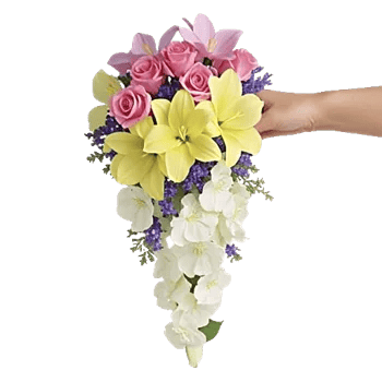 Delicate Petal Cascade