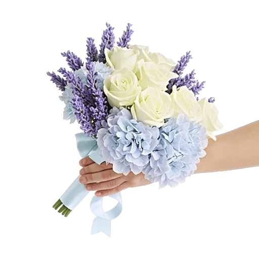 Serene Petal Harmony