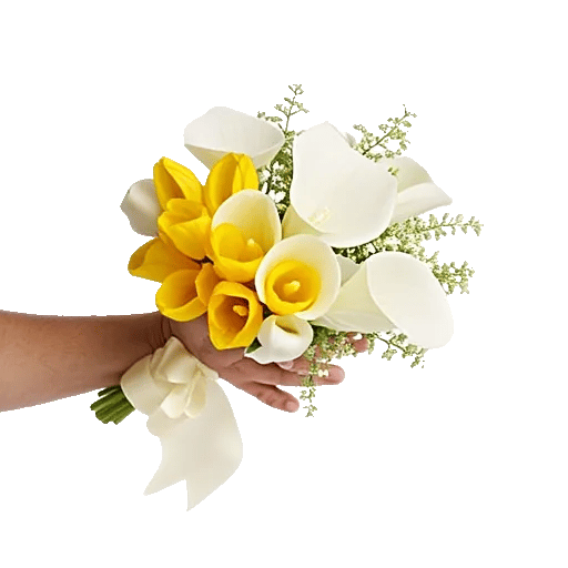 Elegant Calla Lilies