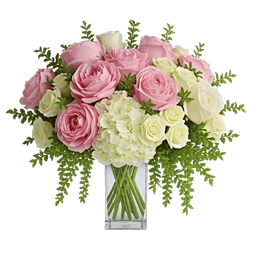 Petal Radiance Bliss