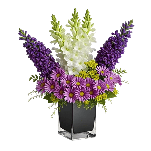 Lavender Bloom Grace