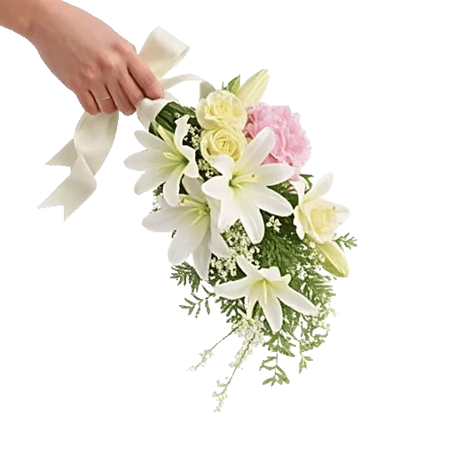 Ivory Blossom Radiance