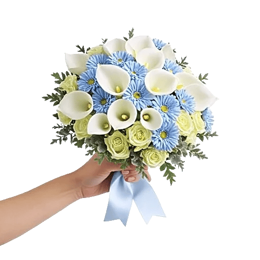 Elegant Calla Lilies