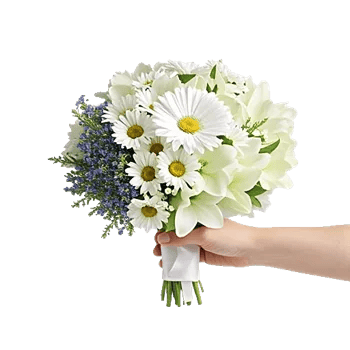 Ivory Garden Grace