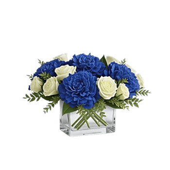 Elegant Blue Roses