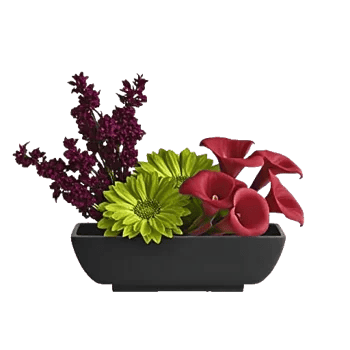 Elegant Calla Lilies