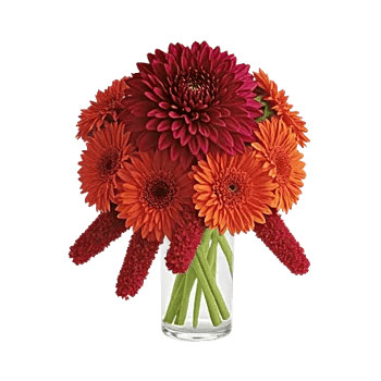 Crimson Blossom Harmony