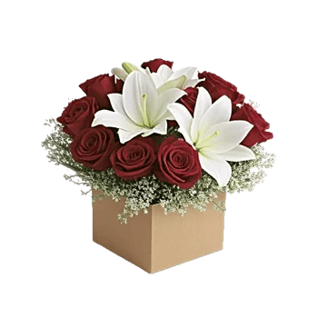 Crimson Rose Elegance