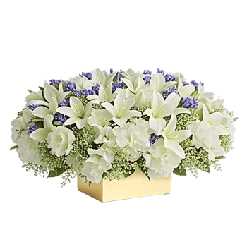 Blooming Serenity Display