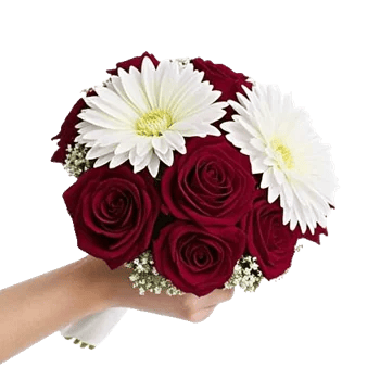 Crimson Blossom Harmony