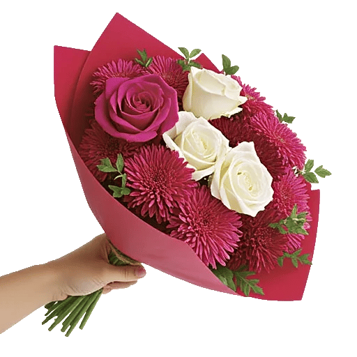 Crimson Rose Elegance