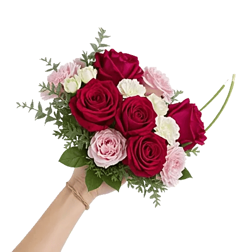 Crimson Rose Elegance