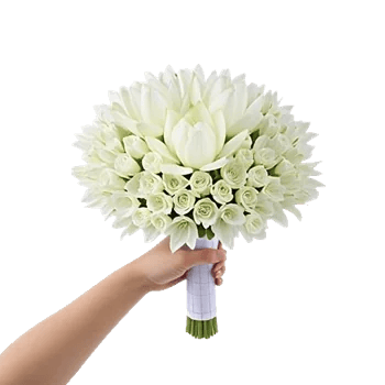 Minimalist White Orchids