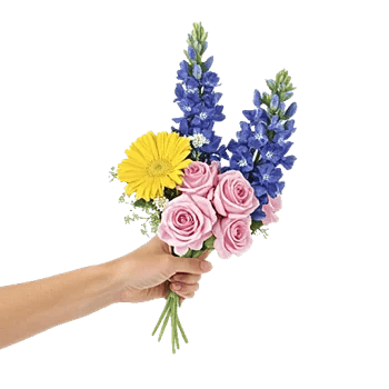 Blossom Petal Serenity