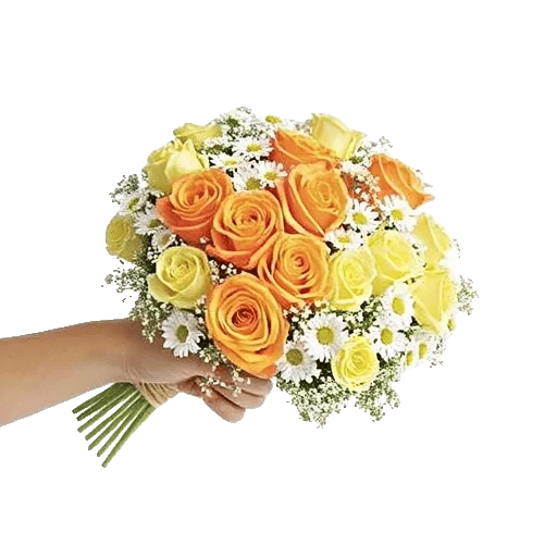 Petal Harmony Bliss