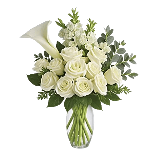 Elegant Calla Lilies